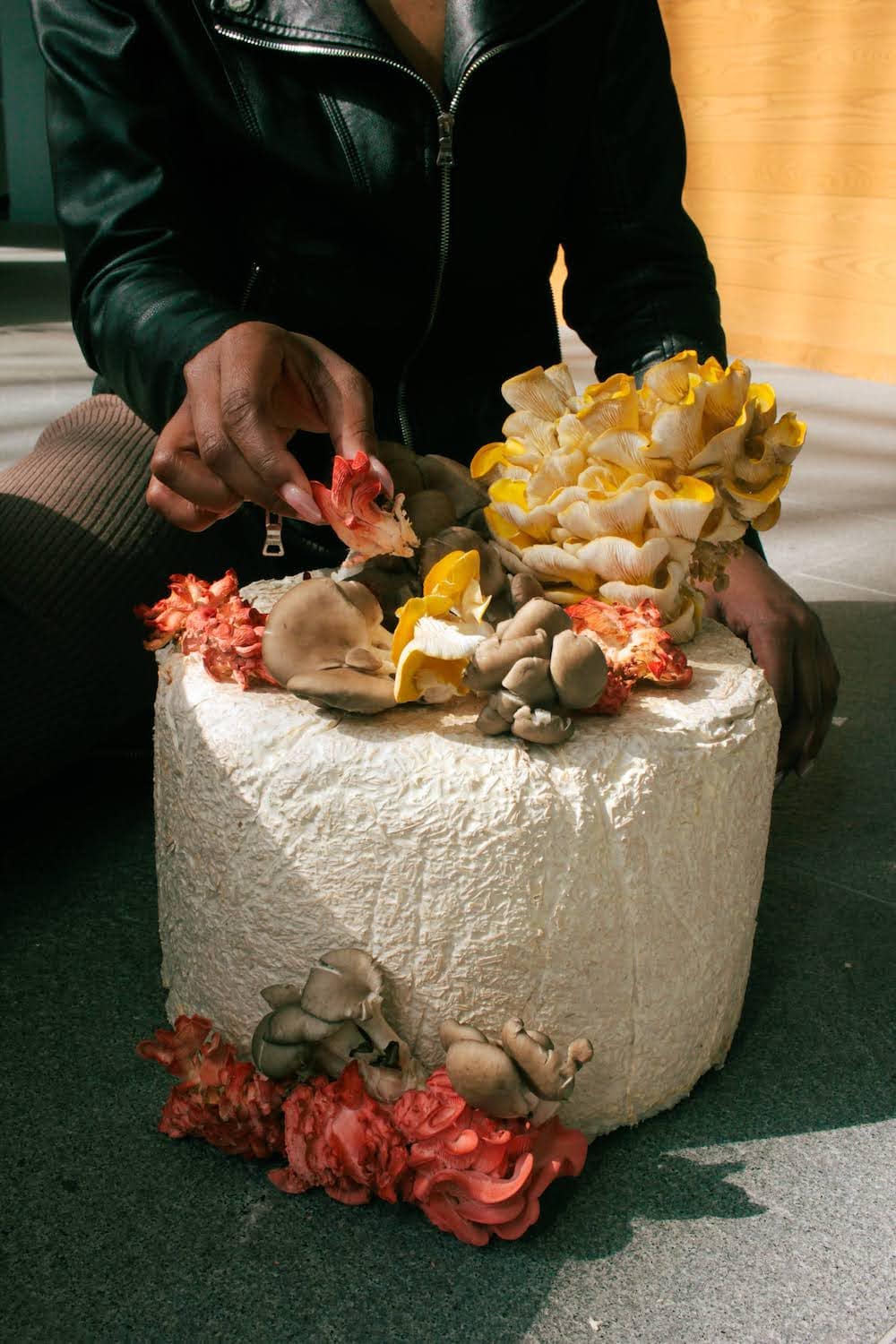 close-up of mycelium sculpture